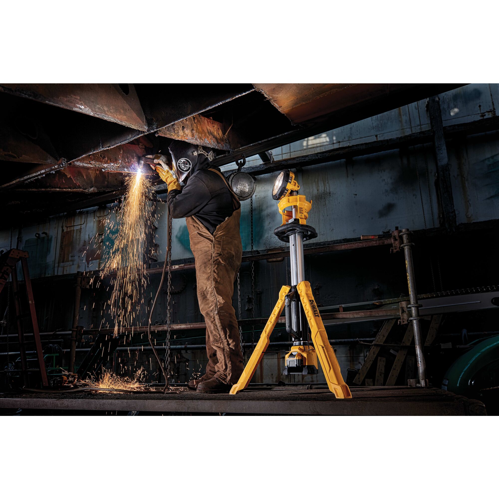 20V MAX* Cordless Tripod Light (Light 